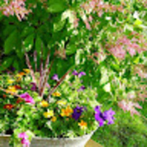 Meet your Posher, Isabel